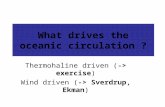 What drives the oceanic circulation ? Thermohaline driven (-> exercise) Wind driven (-> Sverdrup, Ekman)