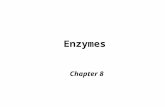 Enzymes Chapter 8. Important Group of Proteins Catalytic power can incr rates of rxn > 10 6 Specific Often regulated to control catalysis Coupling  biological.