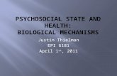 Justin Thielman EPI 6181 April 1 st, 2011.  Starting point: Connection between socioeconomic status (SES) and health  Gradient: increasing SES associated.