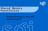 TM Shared Memory Parallelism Programming in the SGI Environment.