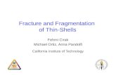 Fracture and Fragmentation of Thin-Shells Fehmi Cirak Michael Ortiz, Anna Pandolfi California Institute of Technology.