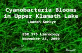 Cyanobacteria Blooms in Upper Klamath Lake ESR 575 Limnology November 23, 2009 Lauren Senkyr.