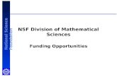 National Science Foundation NSF Division of Mathematical Sciences Funding Opportunities.