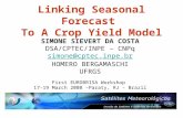 Linking Seasonal Forecast To A Crop Yield Model SIMONE SIEVERT DA COSTA DSA/CPTEC/INPE – CNPq simone@cptec.inpe.br HOMERO BERGAMASCHI UFRGS First EUROBRISA.
