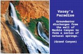 Vasey’s Paradise Groundwater discharges from the wall of Marble Canyon to form a series of natural springs. (Grand Canyon)