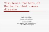 Virulence factors of Bacteria that cause disease Submitted By : Nesren alkakhrass Supervised By: Dr. Abedelraouf A. Elmanama ( Ph.sc Microbiology.