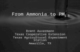 From Ammonia to PM 2.5 Brent Auvermann Texas Cooperative Extension Texas Agricultural Experiment Station Amarillo, TX.