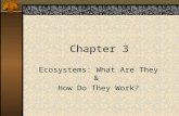 Chapter 3 Ecosystems: What Are They & How Do They Work?