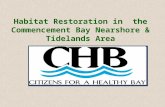 Habitat Restoration in the Commencement Bay Nearshore & Tidelands Area.