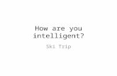 How are you intelligent? Ski Trip. Language Project Ideas Write a story from a different point of view, such as the mountain Write and illustrate a sensational.