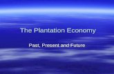 The Plantation Economy The Plantation Economy Past, Present and Future.