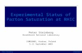 Peter SteinbergISMD2003 Experimental Status of Parton Saturation at RHIC Peter Steinberg Brookhaven National Laboratory ISMD2003, Krakow, Poland 5-11 September.