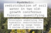 Hydraulic redistribution of soil water in two old-growth coniferous forests: quantifying patterns and controls Principles underlying the hydraulic redistribution.