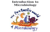 Introduction to Microbiology. How do microorganisms affect our lives?