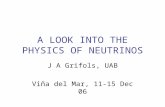 A LOOK INTO THE PHYSICS OF NEUTRINOS J A Grifols, UAB Viña del Mar, 11-15 Dec 06.