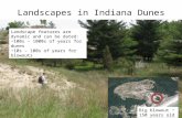 Landscapes in Indiana Dunes Landscape features are dynamic and can be dated: 100s – 1000s of years for dunes 10s – 100s of years for blowouts Big blowout.