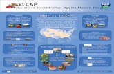 SolCAP Solanaceae Coordinated Agricultural Project What is SolCAP? The SolCAP project links together people from public institutions, private institutions.