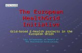 HEALTHGRID.ORG The European HealthGrid Initiative Grid-based E-health projects in the European Union Tony Solomonides on behalf of The HealthGrid Association.