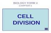 BIOLOGY FORM 4 CHAPTER 5 CELL DIVISION. CELL DIVISION Concept map Consist of Occur in Lead to CELL DIVISION MitosisMeiosis Controlled mitosisUncontrolled.