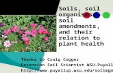 Soils, soil organisms, soil amendments, and their relation to plant health Thanks to Craig Cogger Extension Soil Scientist WSU-Puyallup .