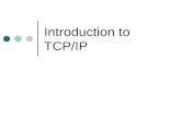 Introduction to TCP/IP. Protocols are a set of rules that govern how computers exchange data over a network There is two type of protocols: LAN protocols: