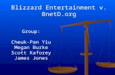 Blizzard Entertainment v. BnetD.org Group: Cheuk-Pan Yiu Megan Burke Scott Kaforey James Jones.