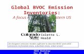 Global BVOC Emission Inventories: A focus on the Southeastern US Colette L. Heald SOAS Workshop May 25, 2011 Are biogenic emission models sufficient to.