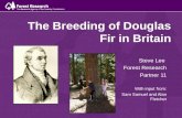 The Breeding of Douglas Fir in Britain Steve Lee Forest Research Partner 11 With input from: Sam Samuel and Alan Fletcher.