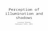 Perception of illumination and shadows Lavanya Sharan February 14th, 2011.