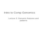 Intro to Comp Genomics Lecture 3: Genomic features and patterns.