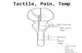 Tactile, Pain, Temp Pain/Temp Tactile CNV- Pain/Temp CNV- Tactile Chris Cohan, Ph.D. Dept. of Pathology University at Buffalo © 2007.