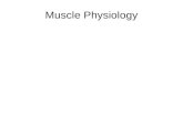 Muscle Physiology. Outline I.Skeletal Muscle Structure II.Muscle Contraction: Cell Events III.Muscle Contraction: Mechanical Events IV.Muscle Metabolism.