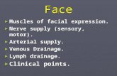 FaceFace ► Muscles of facial expression. ► Nerve supply (sensory, motor). ► Arterial supply. ► Venous Drainage. ► Lymph drainage. ► Clinical points. ►