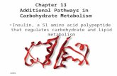 Prentice Hall c2002Chapter 131 Chapter 13 Additional Pathways in Carbohydrate Metabolism Insulin, a 51 amino acid polypeptide that regulates carbohydrate.