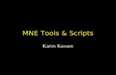 MNE Tools & Scripts Karim Kassam. meg_average mne_simu meg_stc_morph ROI analysis in Excel custom MNE movies.
