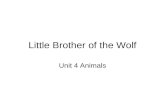 Little Brother of the Wolf Unit 4 Animals.