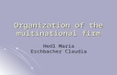 Organization of the multinational firm Hedl Maria Eschbacher Claudia.