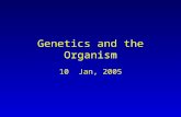 Genetics and the Organism 10 Jan, 2005. Genetics Experimental science of heredity Grew out of need of plant and animal breeders for greater understanding.