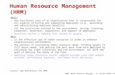 HRM: Work Process Design – G. Grote ETHZ, HS07 Human Resource Management (HRM) What? …the functional area of an organization that is responsible for all.
