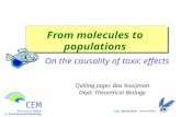 From molecules to populations On the causality of toxic effects Tjalling Jager, Bas Kooijman Dept. Theoretical Biology.