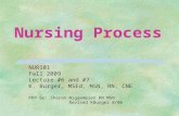 Nursing Process NUR101 Fall 2009 Lecture #6 and #7 K. Burger, MSEd, MSN, RN, CNE PPP By: Sharon Niggemeier RN MSN Revised KBurger 8/06.