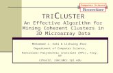 Computer Science TRI C LUSTER An Effective Algorithm for Mining Coherent Clusters in 3D Microarray Data Mohammed J. Zaki & Lizhuang Zhao Department of.