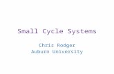 Small Cycle Systems Chris Rodger Auburn University.