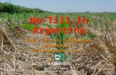 No-Till in Argentina Ing. (M. Sc.) Agustín Bianchini abianchini@arnet.com.ar abianchini@arnet.com.ar No-Till Farmer’s Argentinean Association No-Till Farmer’s.