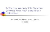 A Teensy Weensy File System (TWFS) with high data block utilization Robert McKeon and David Moore.