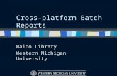 Cross-platform Batch Reports Waldo Library Western Michigan University.