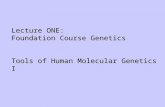 Lecture ONE: Foundation Course Genetics Tools of Human Molecular Genetics I.