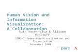 Human Vision and Information Visualization: A Collaboration Ruth Rosenholtz & Allison Woodruff SIMS-Information Visualization and Presentation November.