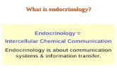 What is endocrinology? Endocrinology = Intercellular Chemical Communication Endocrinology is about communication systems & information transfer.