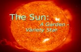 1 March 2005AST 2010: Chapter 14 1 The Sun: A Garden -Variety Star.